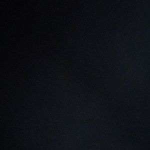 Meet your Posher, Lillie